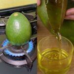 A Maneira Mais Fácil de Fazer Óleo de Abacate - Receita Completa