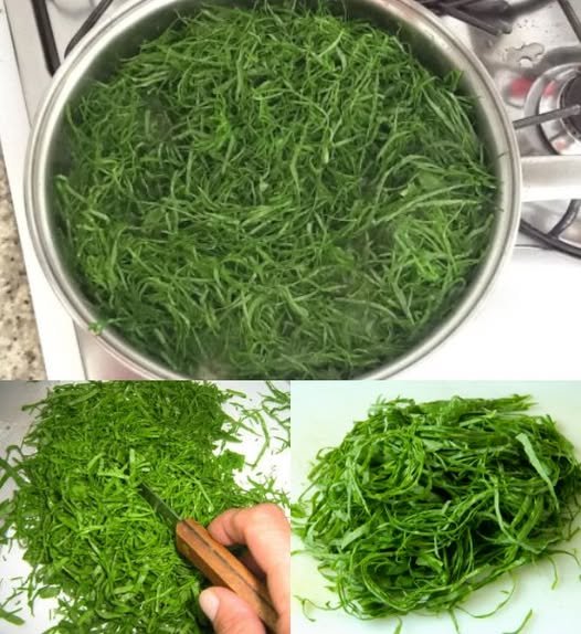 Truque Simples para Cortar Couve Fininha e Perfeita - Receita Completa
