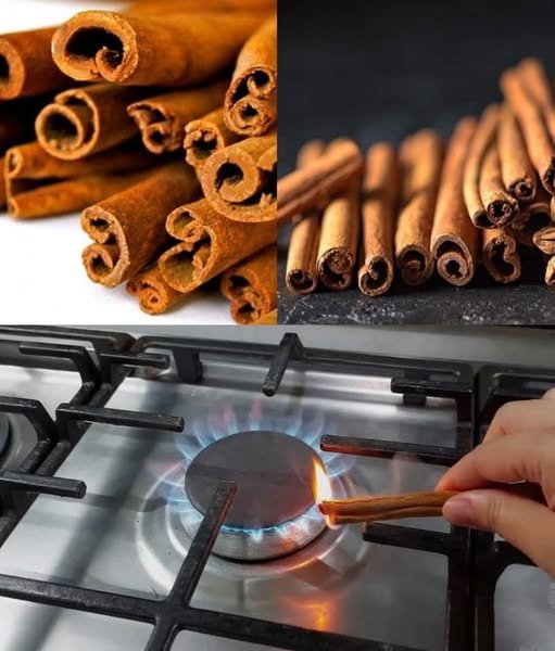 Queime um Pau de Canela em Casa e Surpreenda-se com o Resultado! - Receita Completa