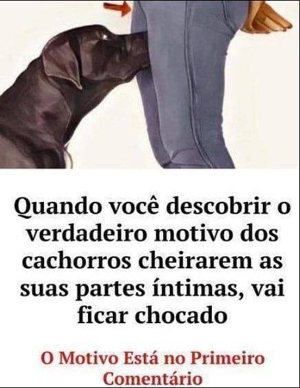 Imagem da Receita