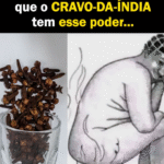 Captura de tela 2025-08-12 132504