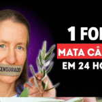 Imagem da página de origem