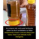Imagem da página de origem