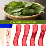 Imagem da página de origem