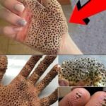 Imagem da página de origem