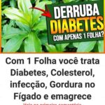 Imagem da página de origem