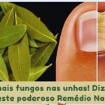Imagem da página de origem