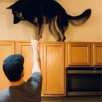 Imagem da página de origem