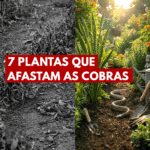 Imagem da página de origem