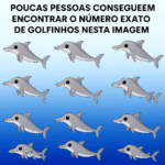 0395f771-3b4f-49cd-950f-6968a3d41bbe