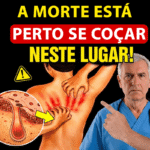 afa14af0-301d-403a-88b7-3d052ab8790d-1