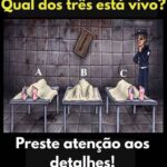 Câncer de Mama em Cadelas featured-1785959835682
