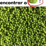 O Mistério do Gato nas Ervilhas: Desvendando a Intriga featured-1785974424525