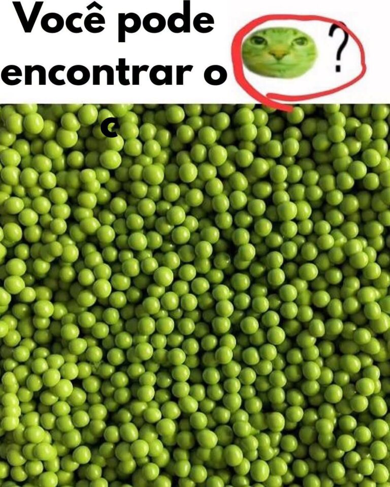 O Mistério do Gato nas Ervilhas: Desvendando a Intriga