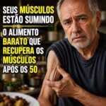 Ovos: O Alimento Essencial para Músculos Fortes Após os 50 featured-1785974595984