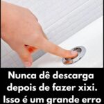 O Impacto Inesperado de Não Dar Descarga Após Urinar featured-1785975168244
