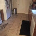 featured-1785975902266