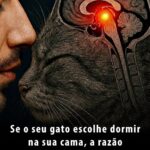A verdade oculta sobre a saúde do intestino: o que poucos sabem featured-1785976886245