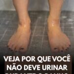 Por que é “proibido” urinar no banho? Desvendando o mistério featured-1785978058761