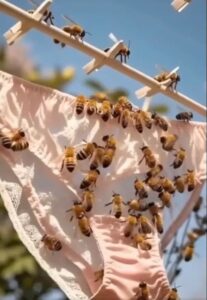 Descubra o significado de secreções íntimas na roupa