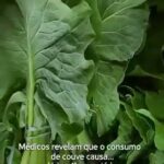 Consumo de Couve preview-1788833032552