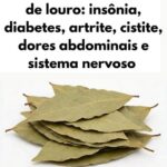 Folhas de louro além da cozinha preview-1789572877146