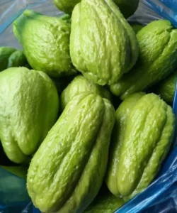 Médicos Revelam Que Comer Chuchu Causa Impactos Vitais