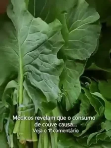 Consumo de Couve: Benefícios, Riscos e Cuidados