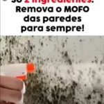 Como remover mofo das paredes com apenas ingredientes preview-1791092807802